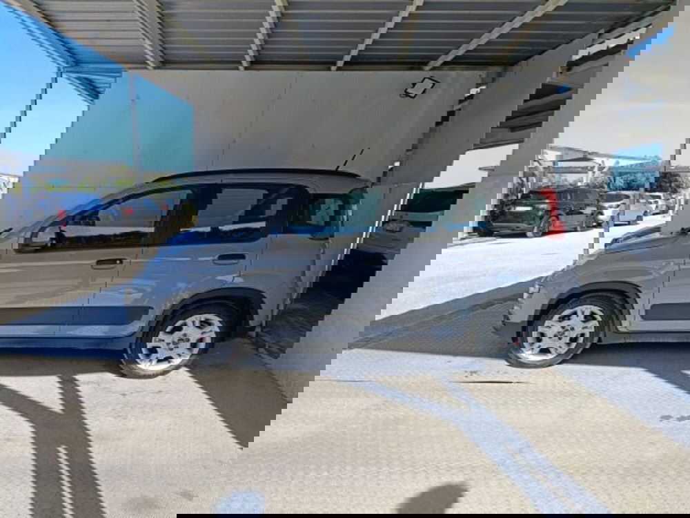 Fiat Panda usata a Teramo (6)