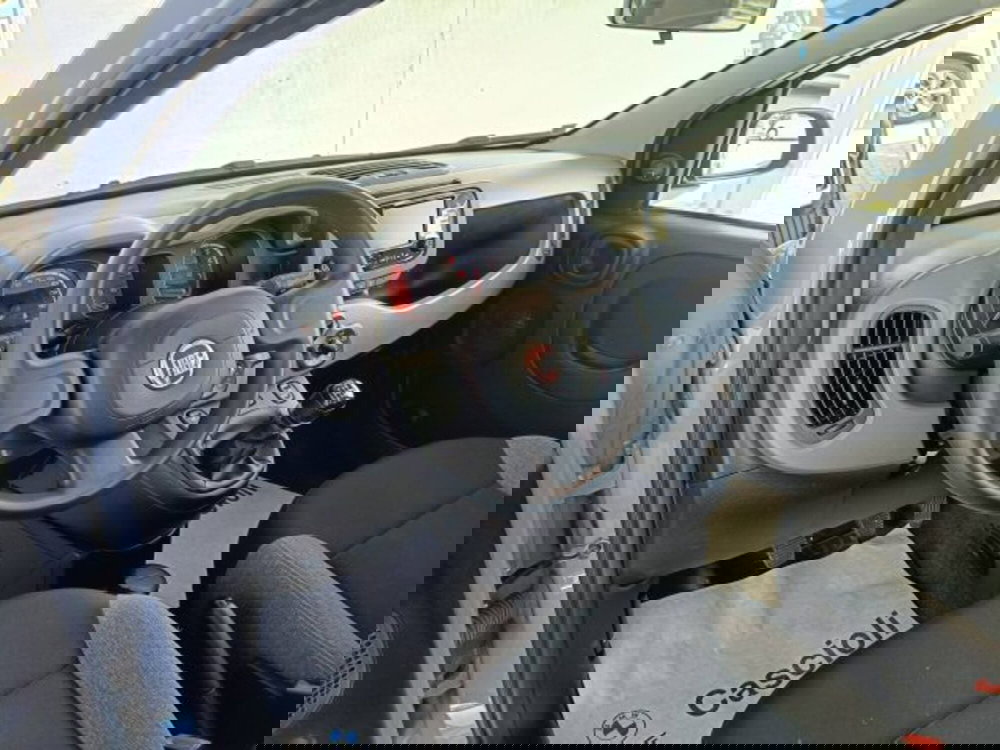 Fiat Panda usata a Teramo (7)