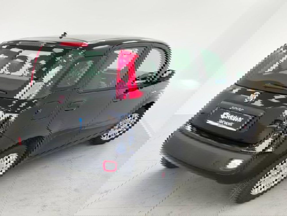 Fiat Panda usata a Como (2)