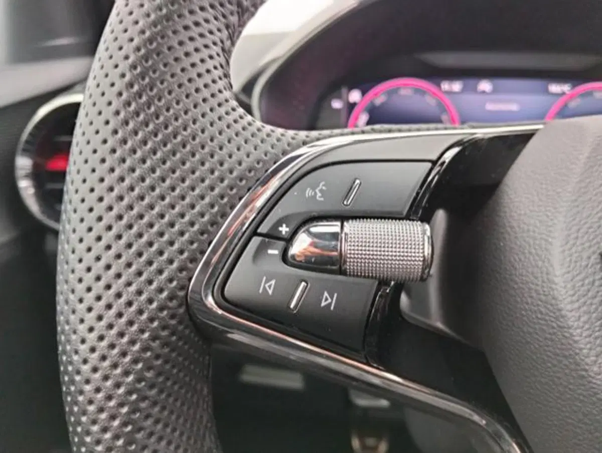 Skoda Fabia usata a Como (11)
