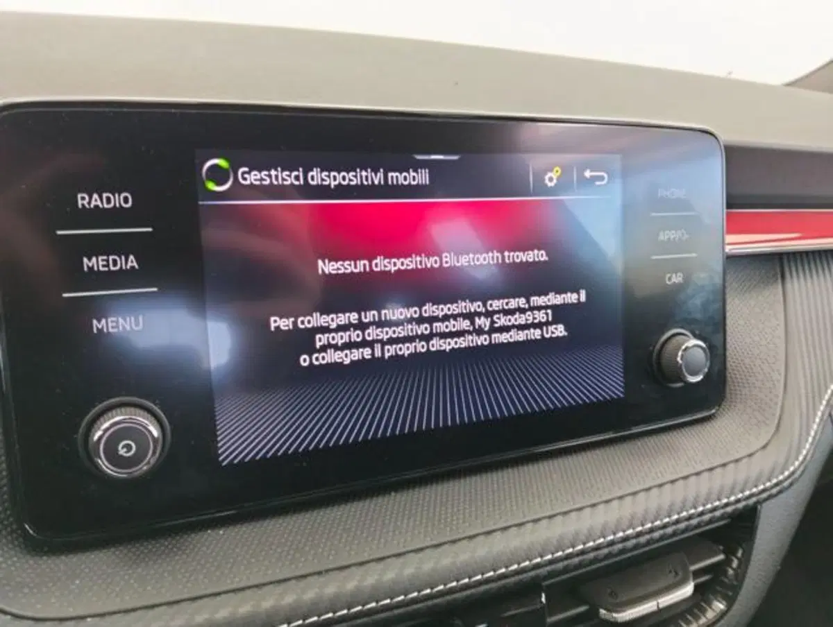 Skoda Fabia usata a Como (14)