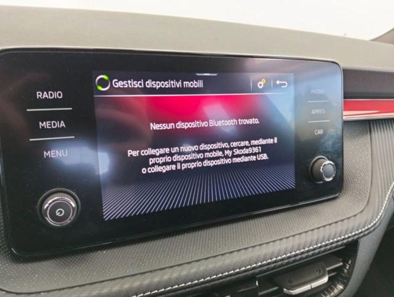 Skoda Fabia usata a Como (14)