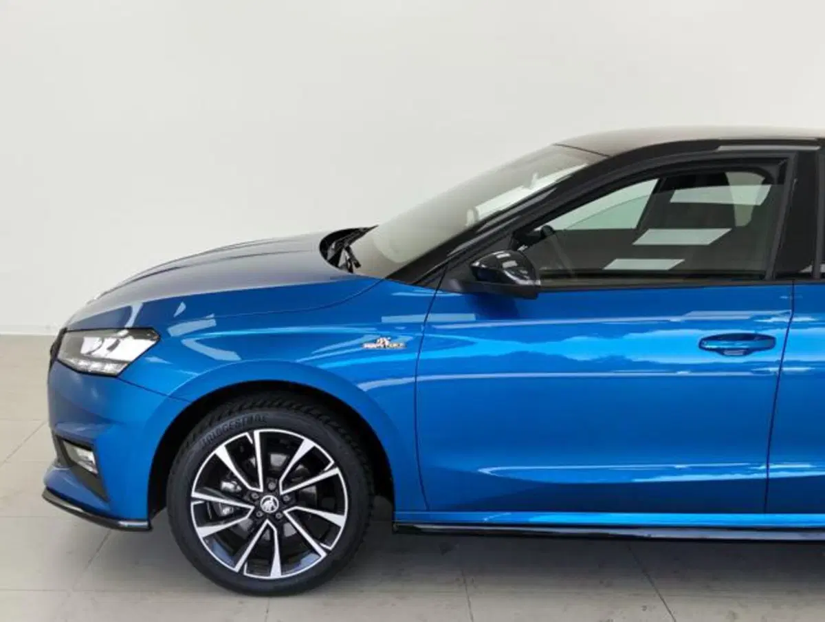 Skoda Fabia usata a Como (9)