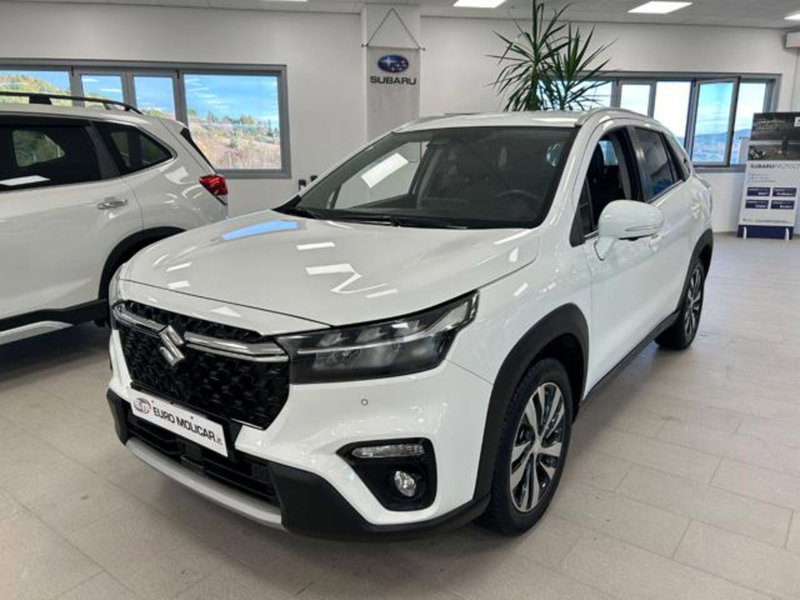 Suzuki S-Cross usata a Campobasso (5)