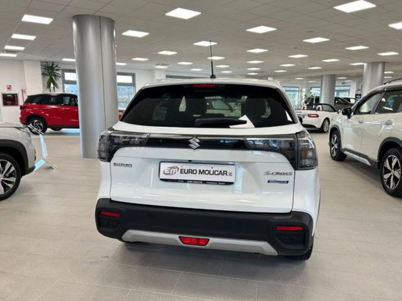 Suzuki S-Cross usata a Campobasso (9)
