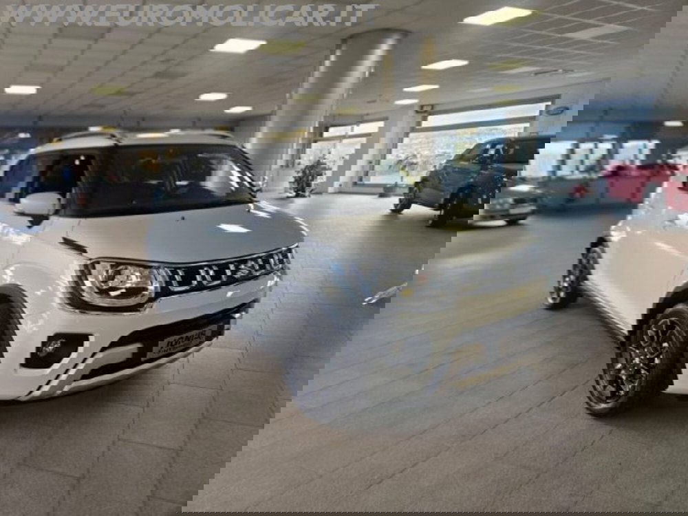 Suzuki Ignis nuova a Campobasso (3)