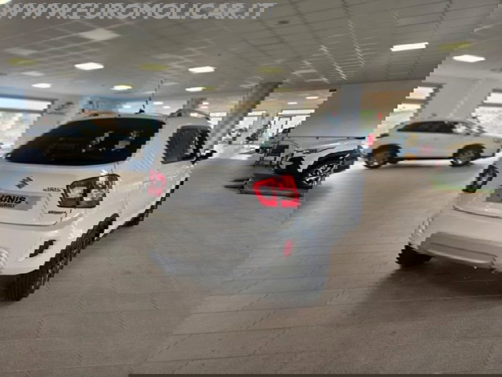 Suzuki Ignis nuova a Campobasso (6)