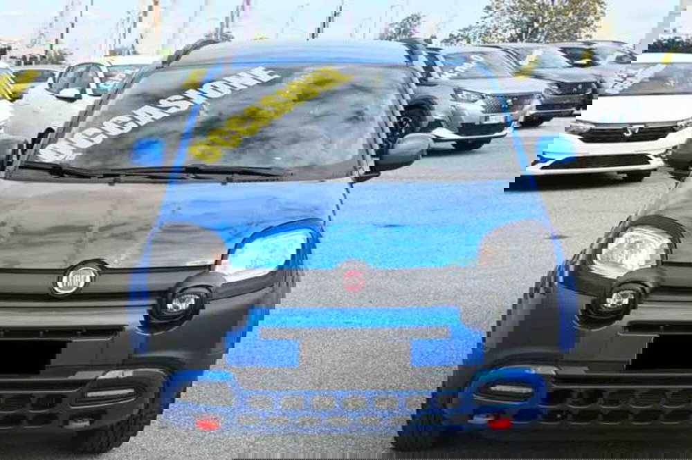 Fiat Panda usata a Torino (2)