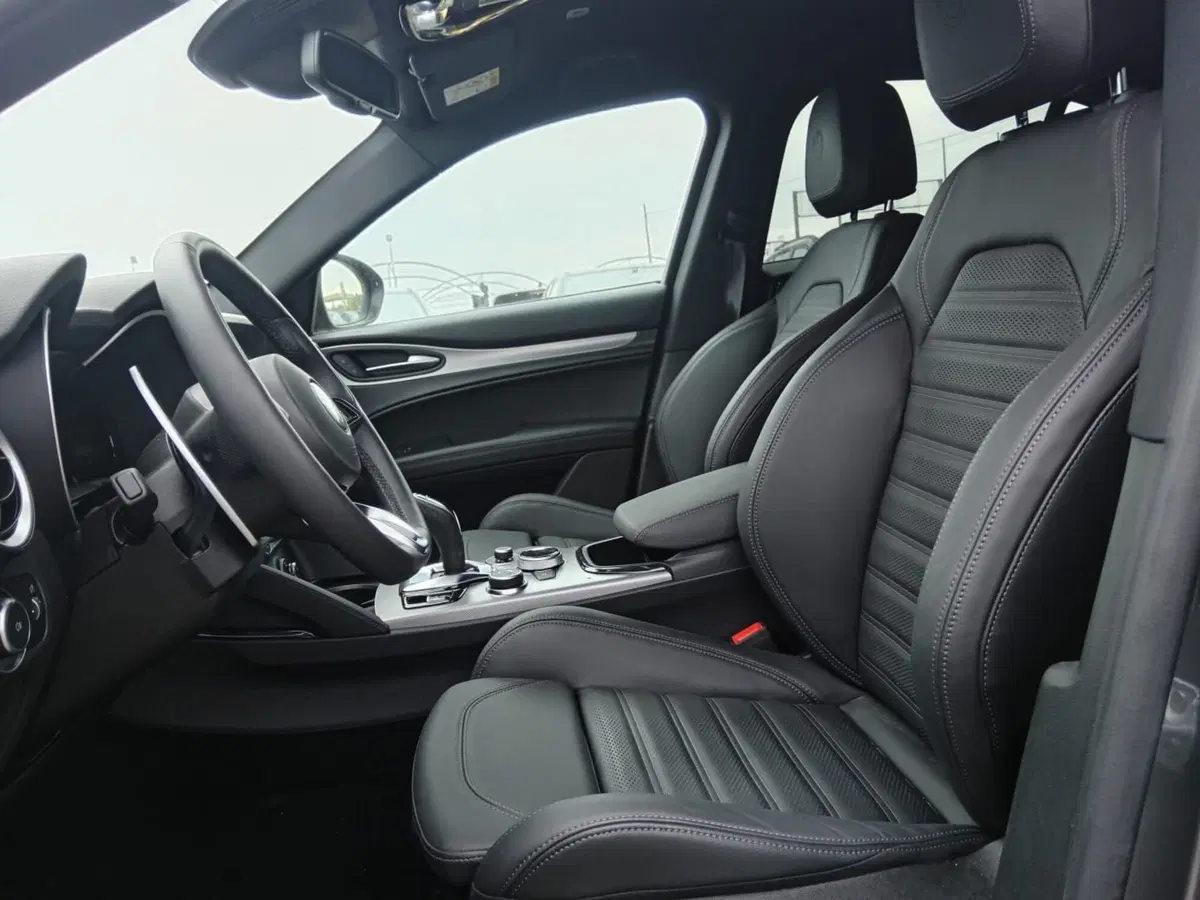 Alfa Romeo Stelvio usata a Alessandria (10)