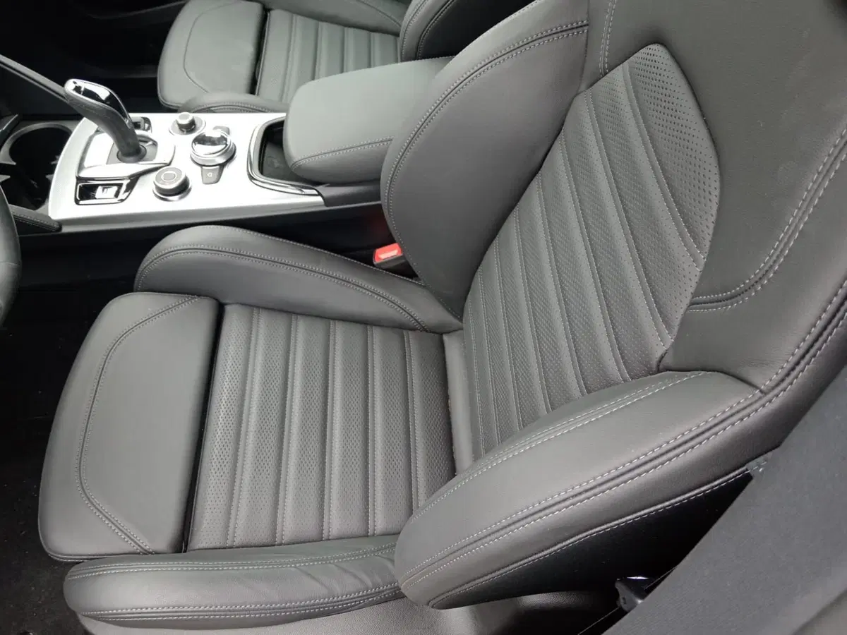 Alfa Romeo Stelvio usata a Alessandria (11)