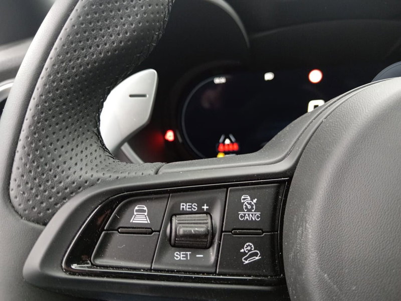 Alfa Romeo Stelvio usata a Alessandria (15)