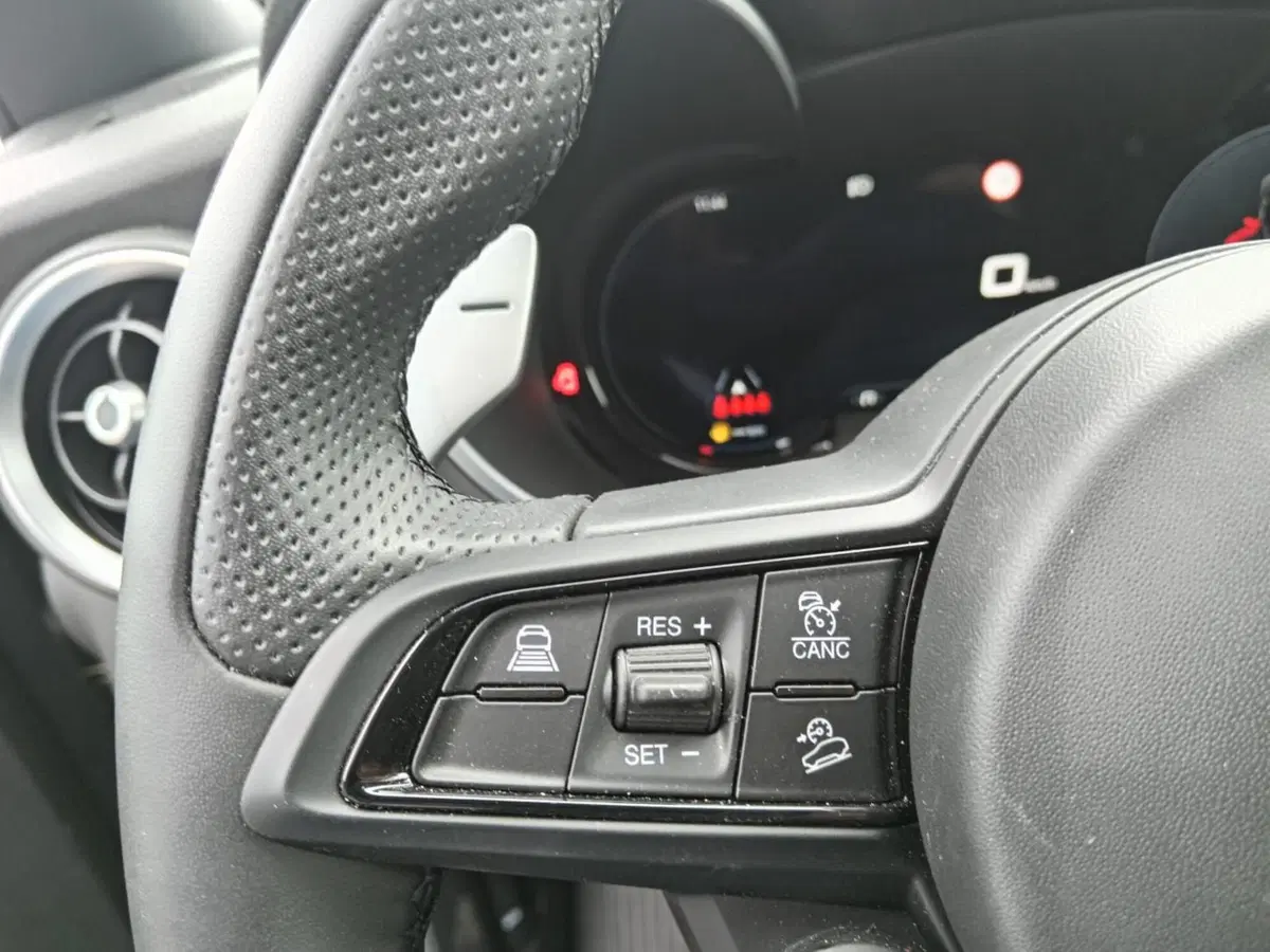 Alfa Romeo Stelvio usata a Alessandria (16)