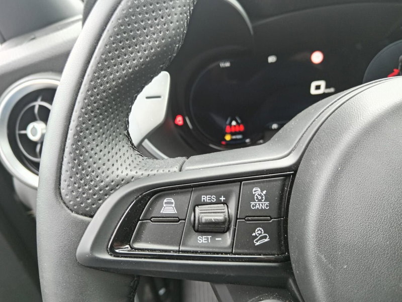 Alfa Romeo Stelvio usata a Alessandria (16)