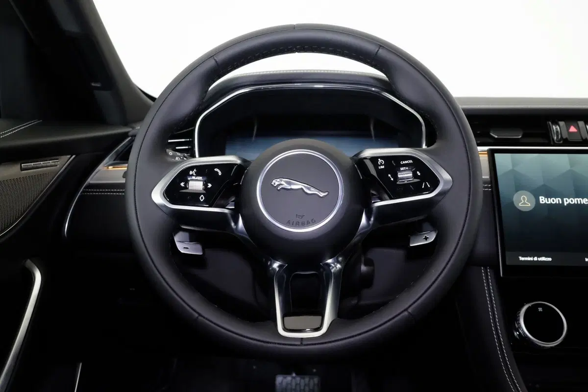 Jaguar F-Pace usata a Torino (19)