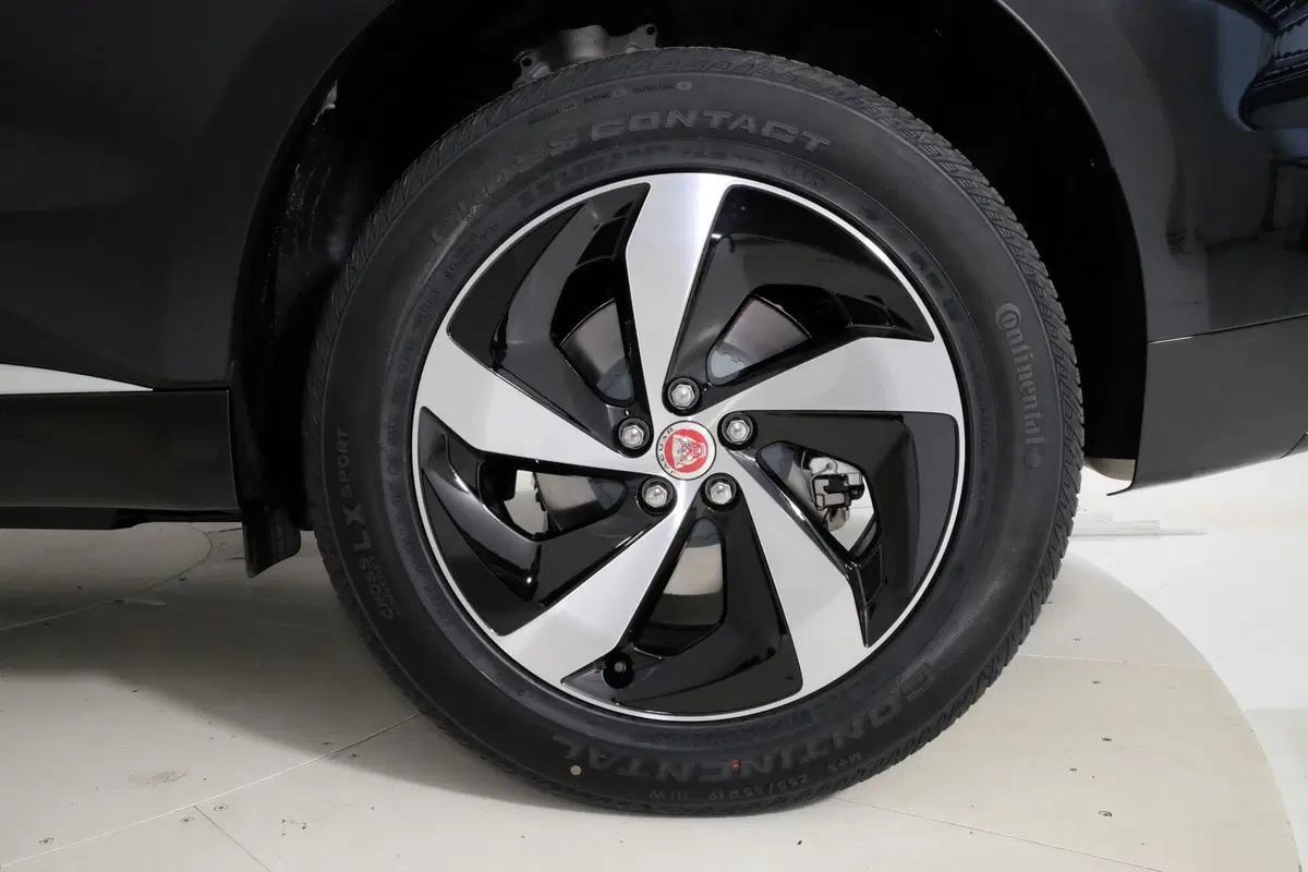 Jaguar F-Pace usata a Torino (9)