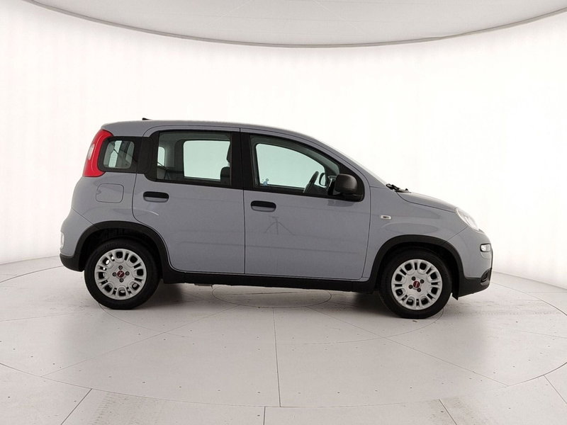 Fiat Panda Cross nuova a Caserta (7)