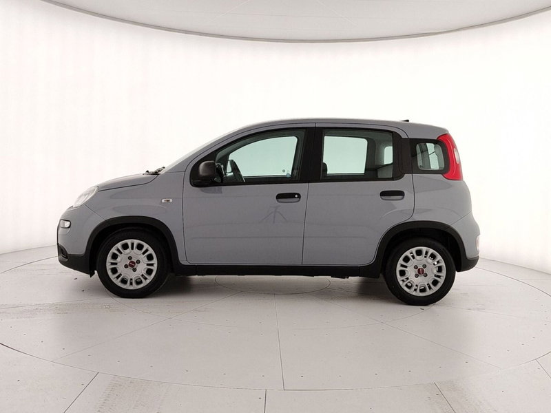 Fiat Panda Cross nuova a Caserta (8)