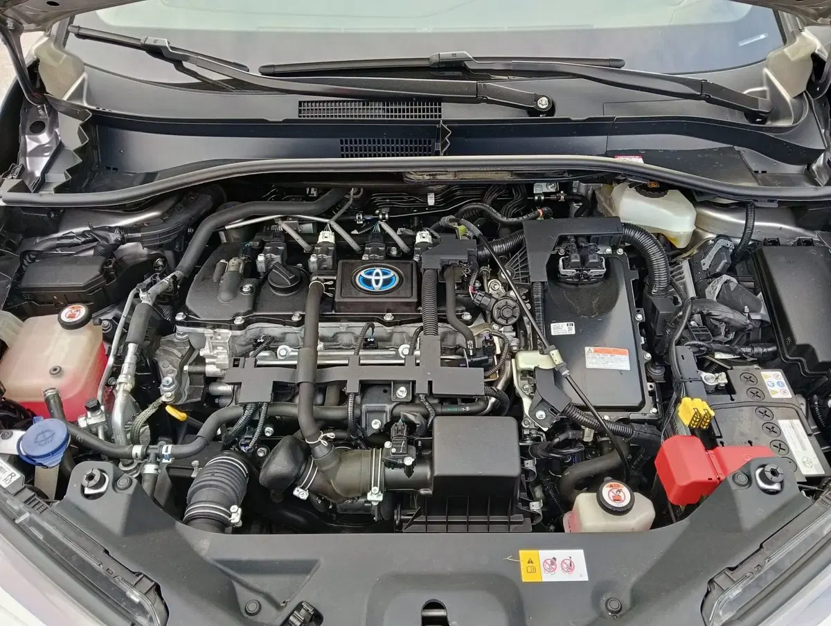 Toyota Toyota C-HR usata a Belluno (15)