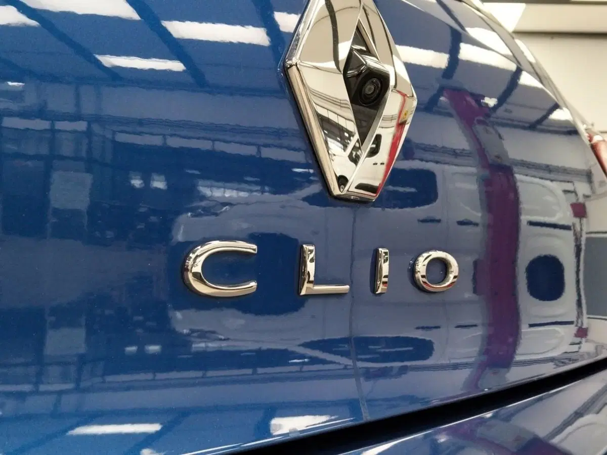 Renault Clio usata a Roma (15)