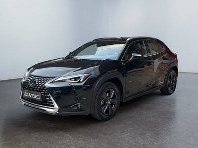 Lexus UX Hybrid 4WD Executive del 2022 usata a Modena