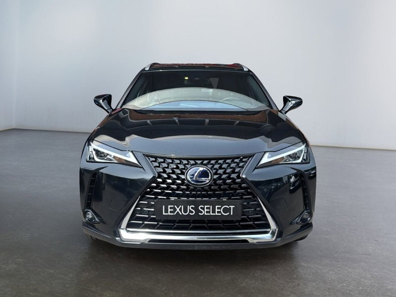 Lexus UX usata a Modena (2)