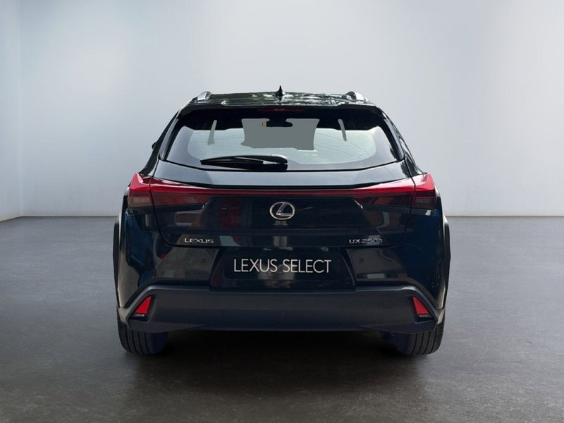 Lexus UX usata a Modena (4)