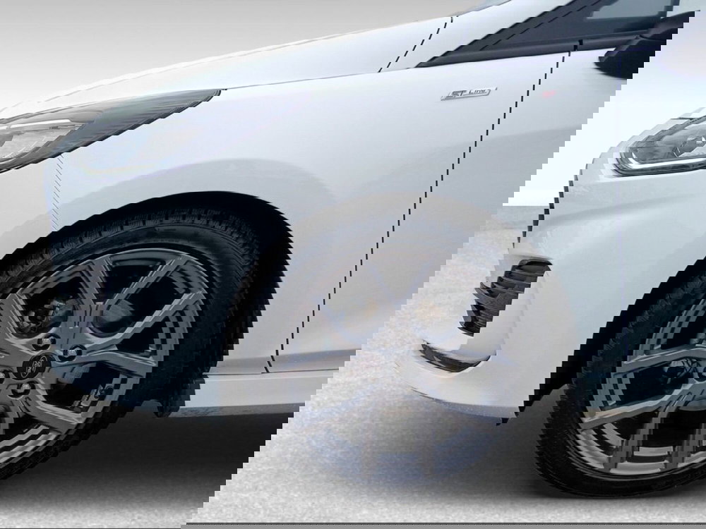 Ford Fiesta usata a Livorno (15)