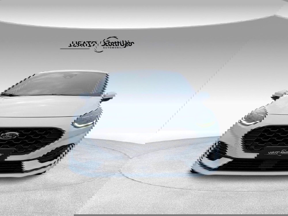 Ford Fiesta usata a Livorno (2)