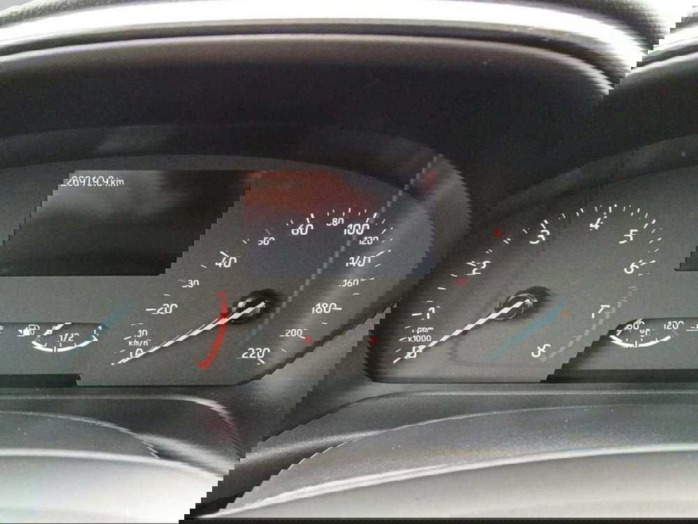 Ford Fiesta usata a Livorno (7)