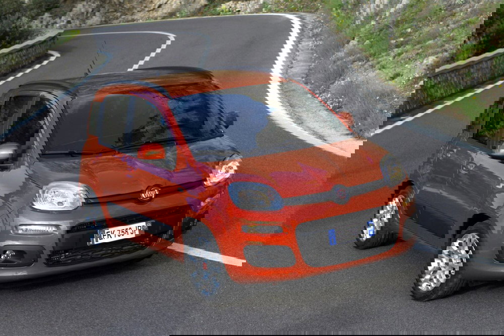 Fiat Panda usata a Parma (3)