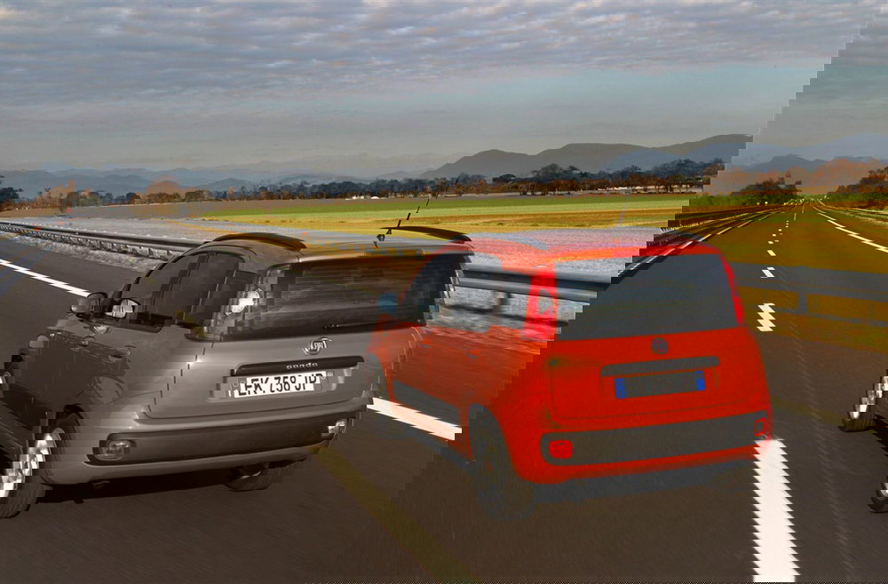 Fiat Panda usata a Parma (5)