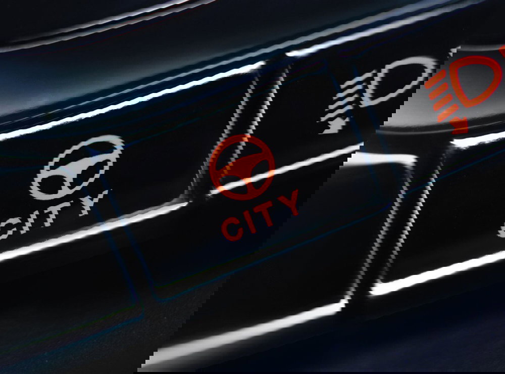 Fiat Panda usata a Parma (8)