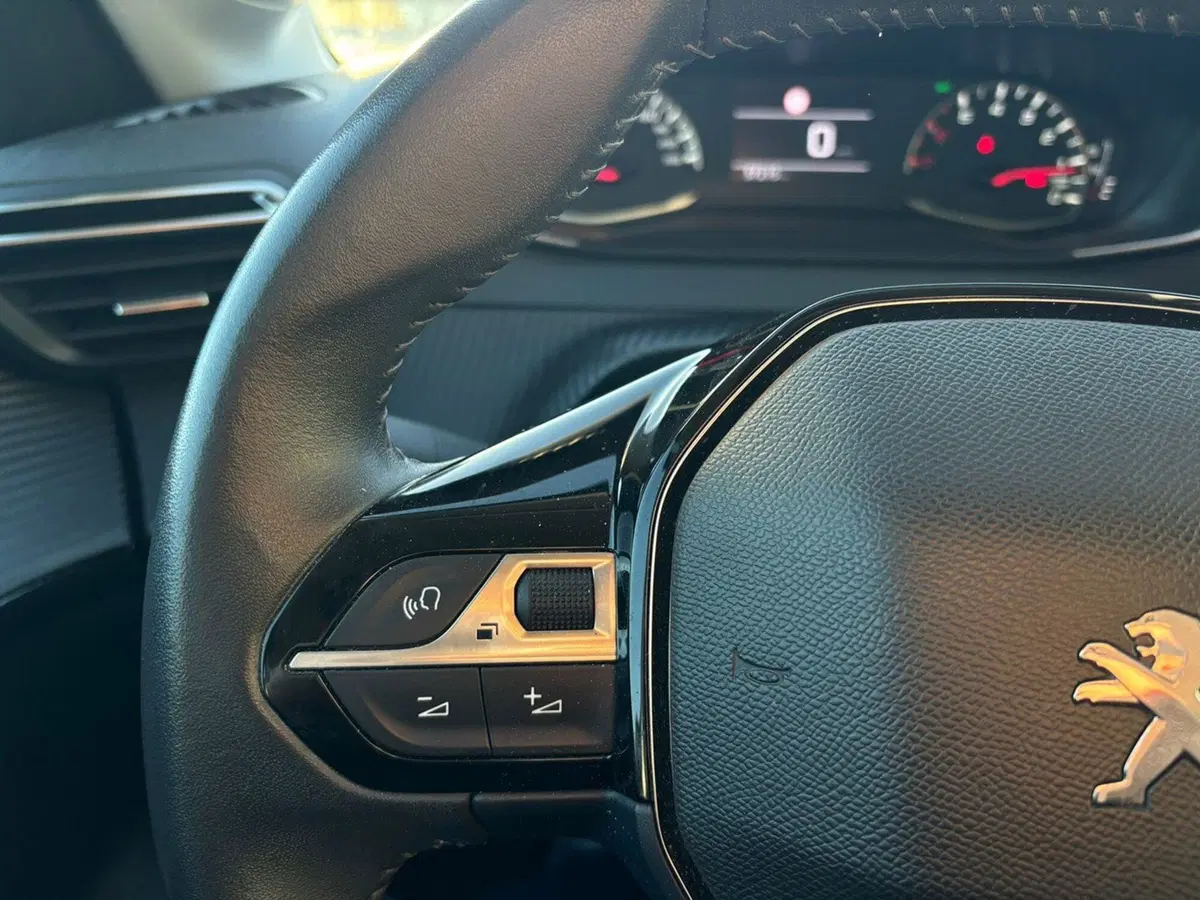 Peugeot 208 usata a Vercelli (8)