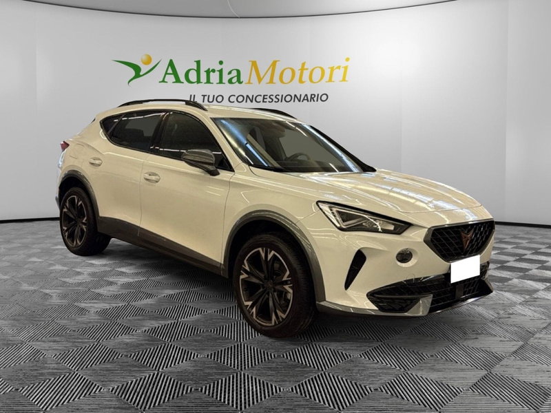 Cupra Formentor usata a Pordenone (7)