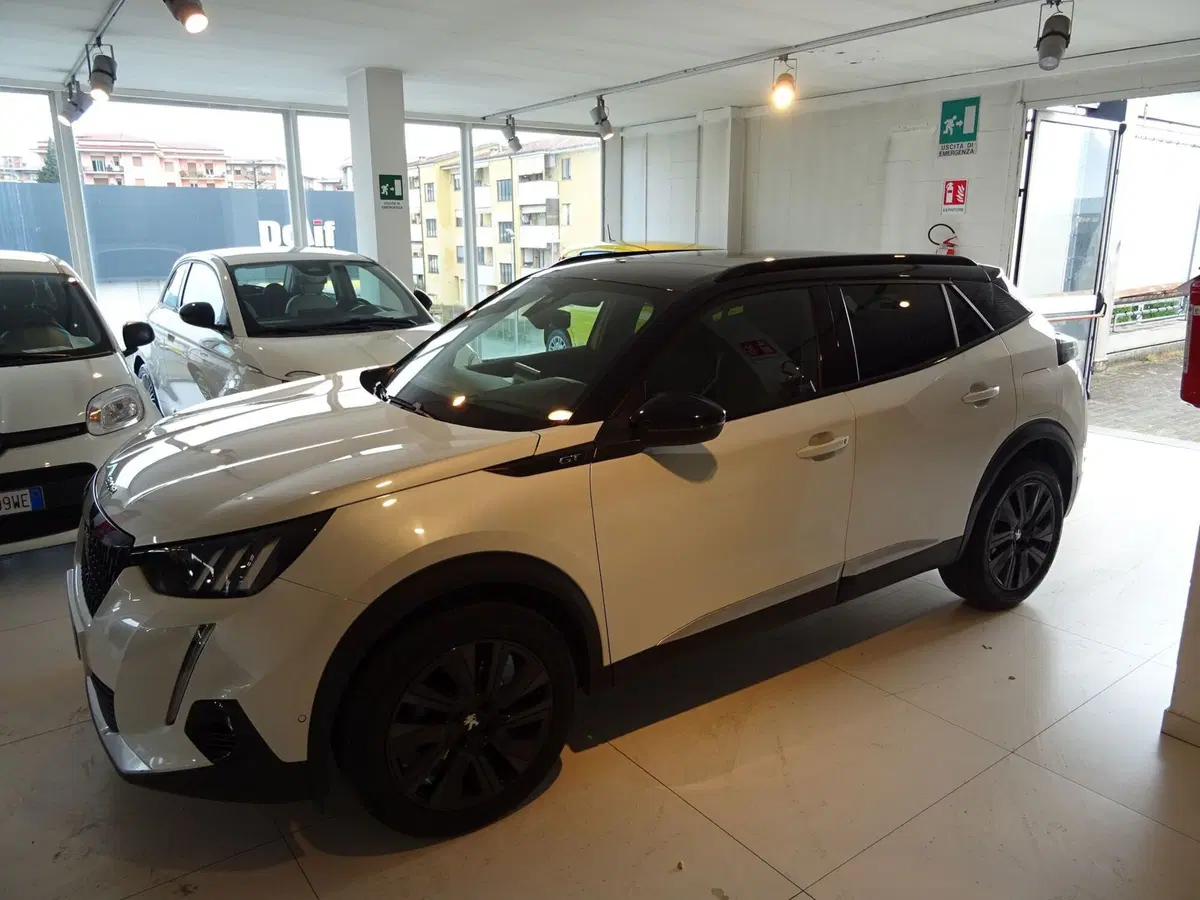 Peugeot 2008 usata a Lucca (2)