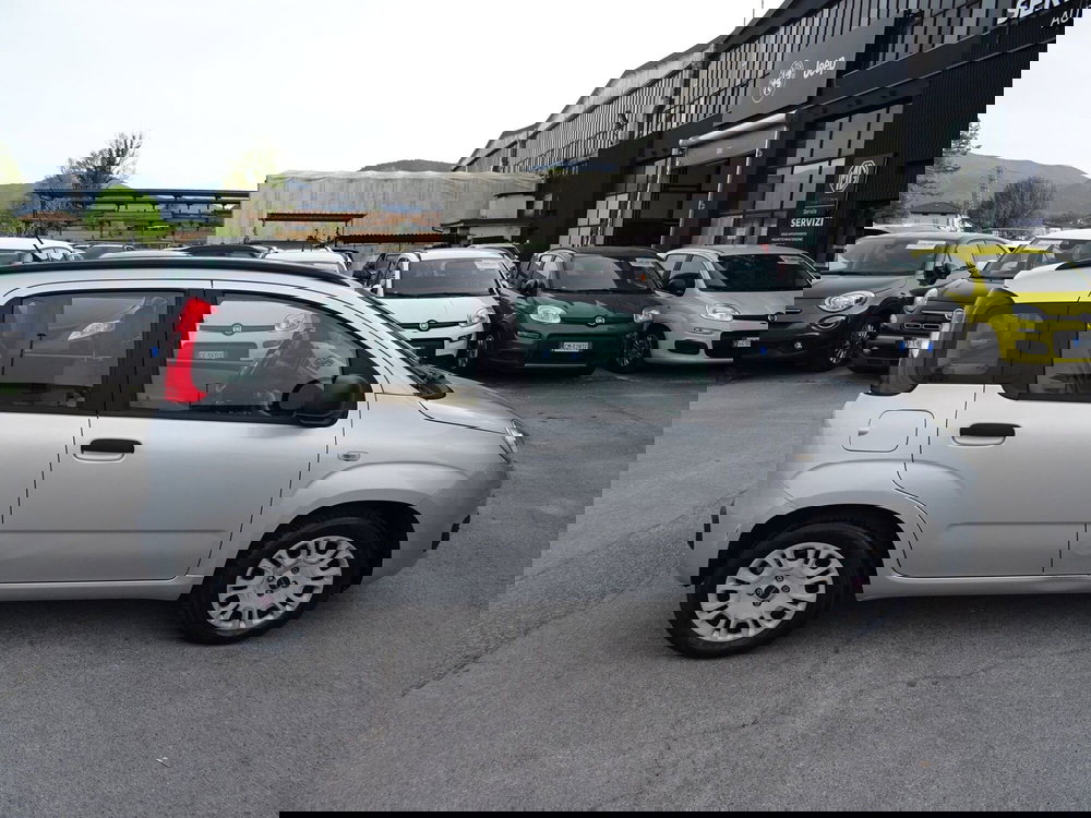 Fiat Panda usata a Lucca (5)