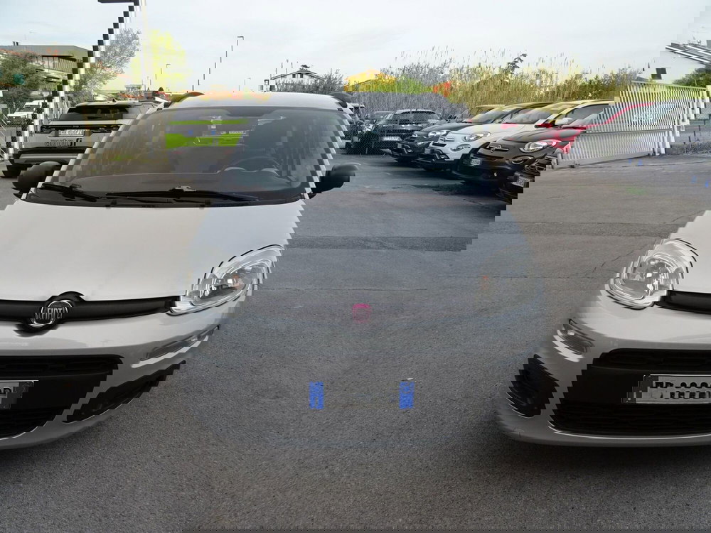 Fiat Panda usata a Lucca (7)