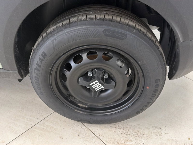 Fiat Grande Panda nuova a Palermo (5)