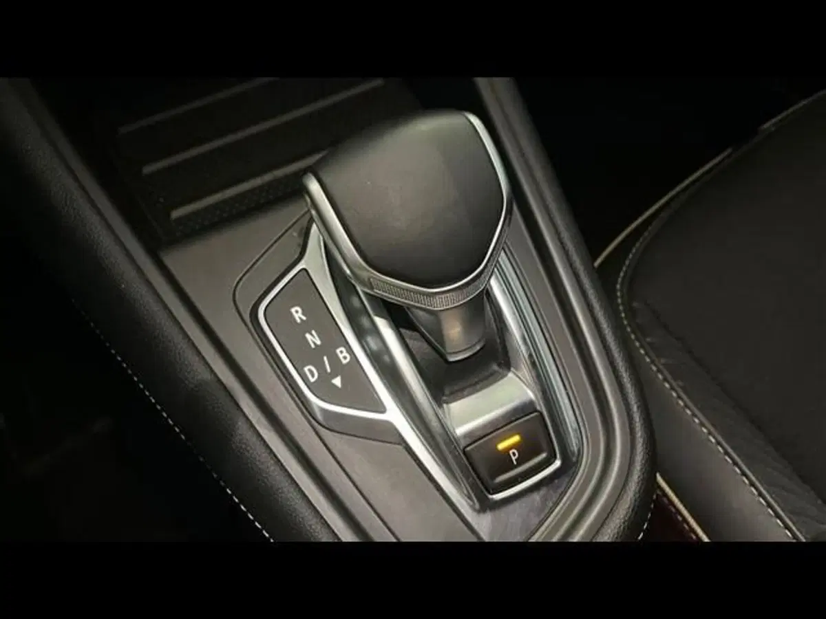 Renault Symbioz usata a Firenze (9)