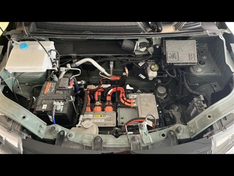 Dacia Spring usata a Firenze (14)