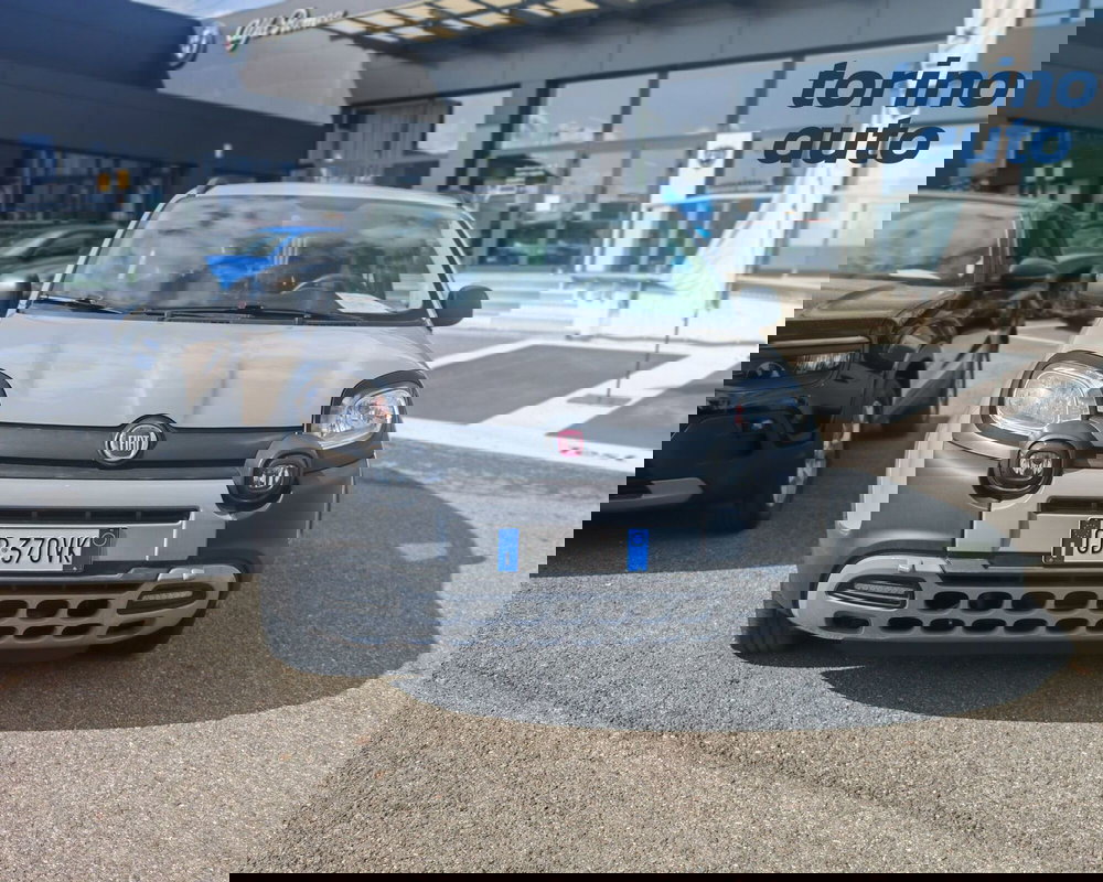 Fiat Panda usata a Torino (2)