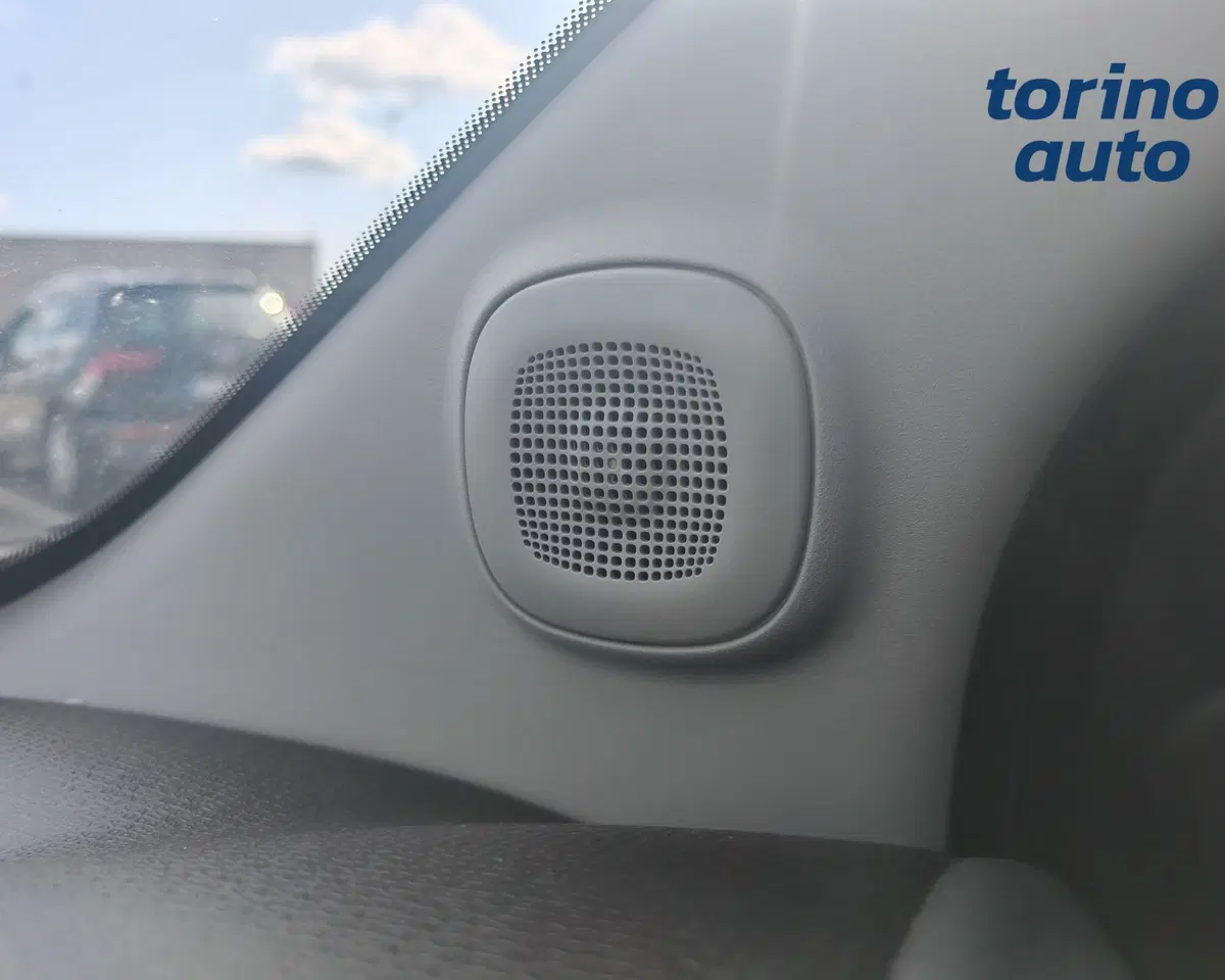 Fiat Panda usata a Torino (20)