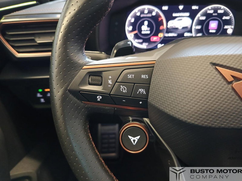 Cupra Formentor usata a Varese (17)