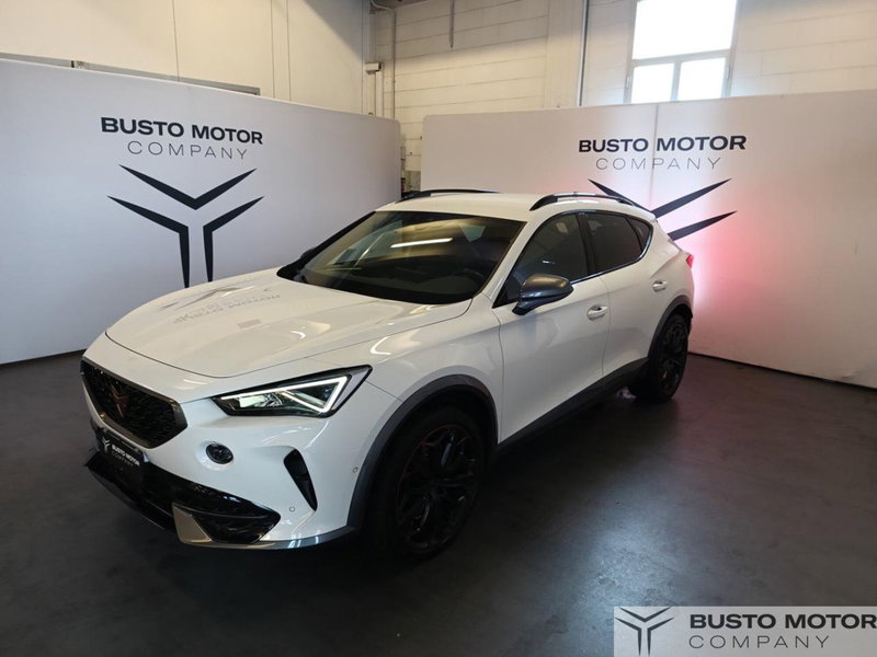 Cupra Formentor usata a Varese (3)