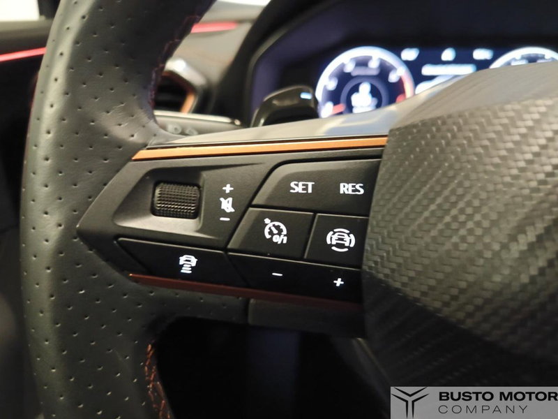 Cupra Formentor usata a Varese (15)