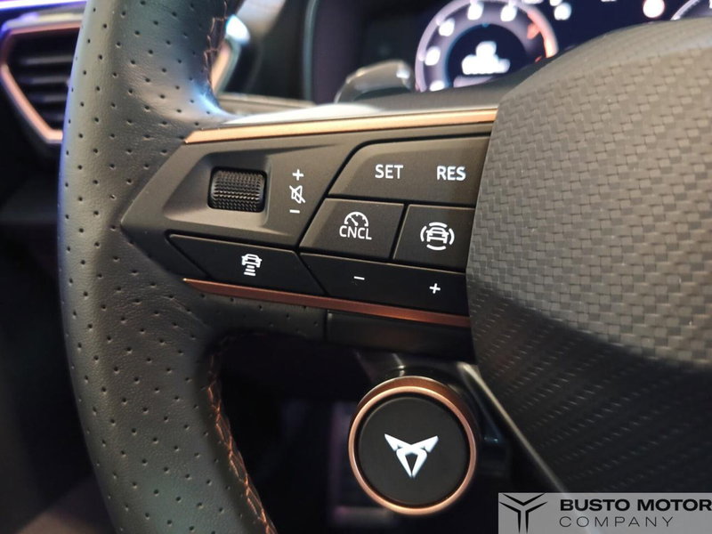 Cupra Formentor usata a Varese (18)