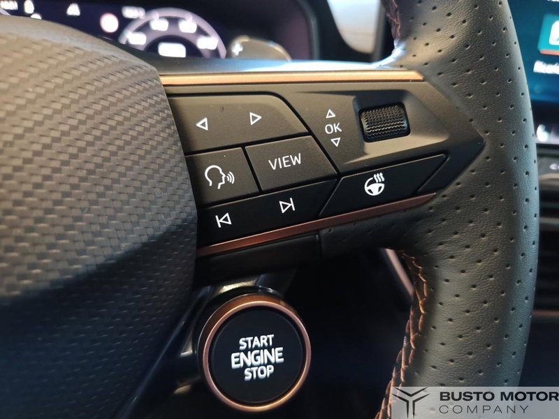 Cupra Formentor usata a Varese (19)