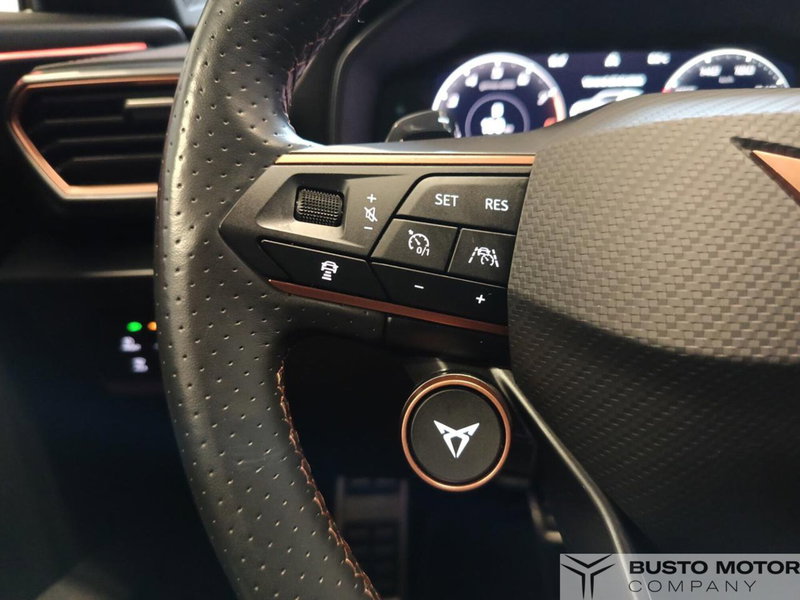 Cupra Formentor usata a Varese (16)