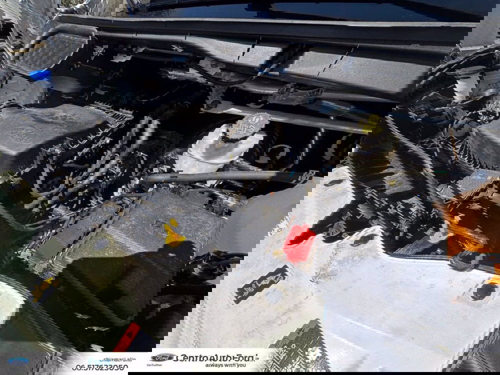 Ford Transit Furgone usata a Roma (10)