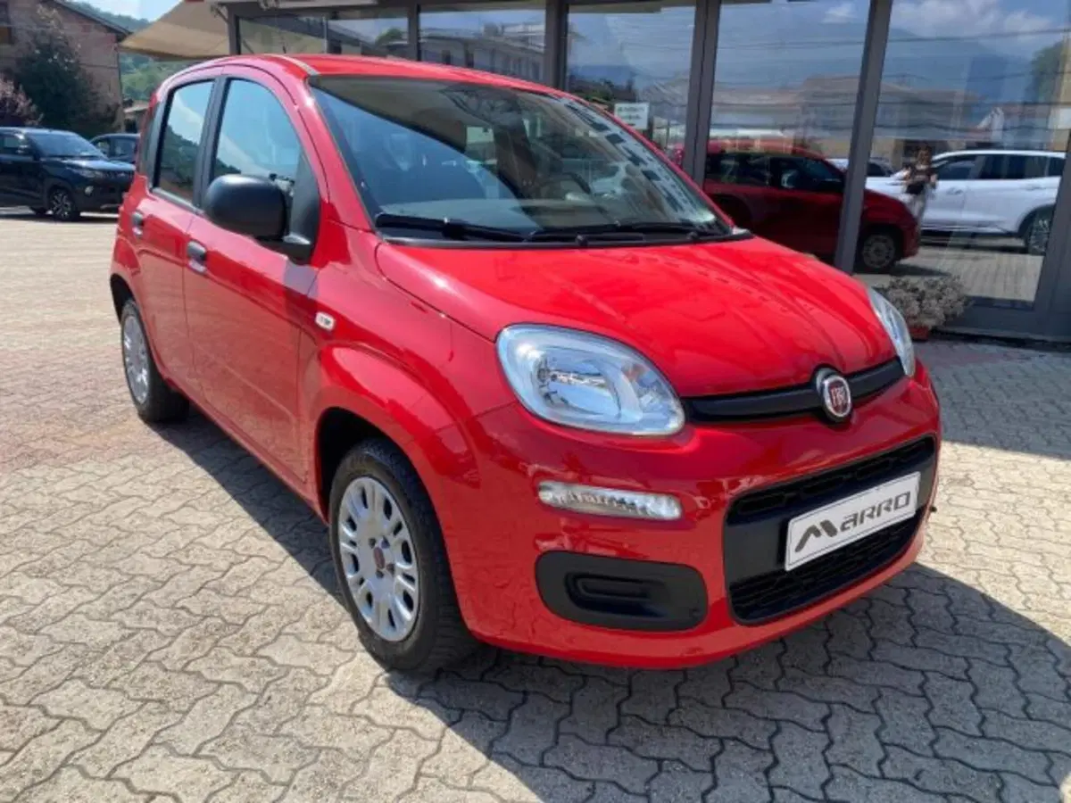 Fiat Panda usata a Cuneo (2)